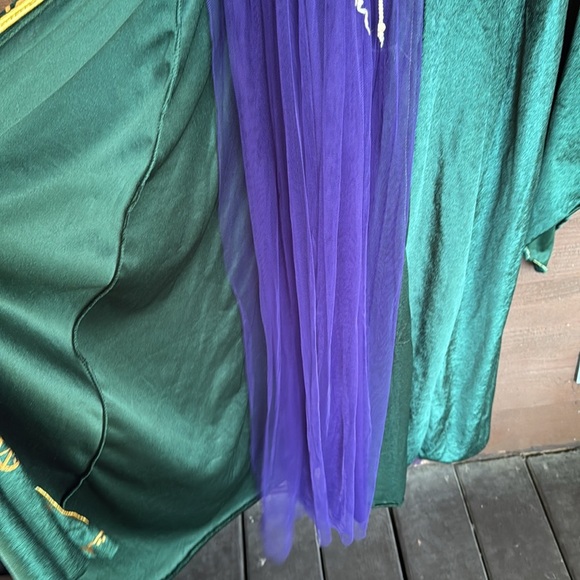 Disney Hocus Pocus Winifred Sanderson purple and green long sleeve dress size L - Picture 4 of 6